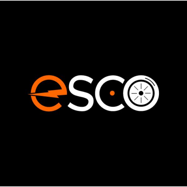 logo 100
